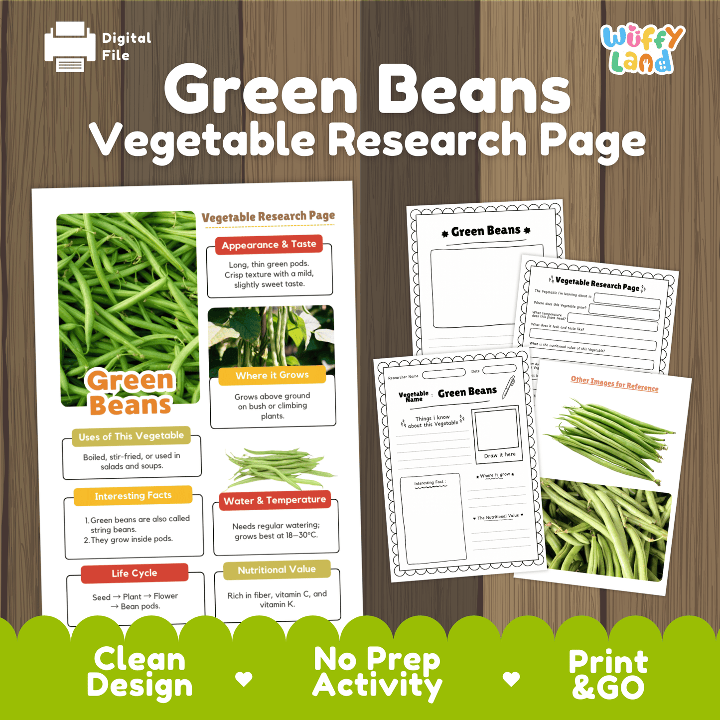 Green Beans Vegetable Research Activity Worksheet Science String Beans Gardening