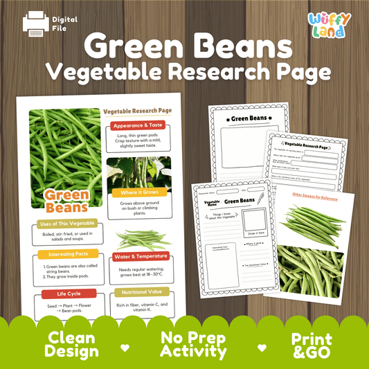 Green Beans Vegetable Research Activity Worksheet Science String Beans Gardening