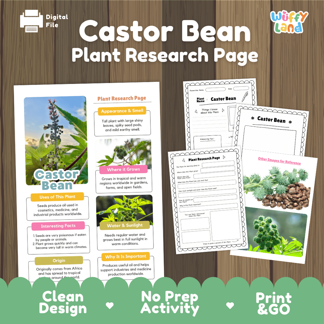Castor Bean Plant Research Page Worksheets and Fact Sheet