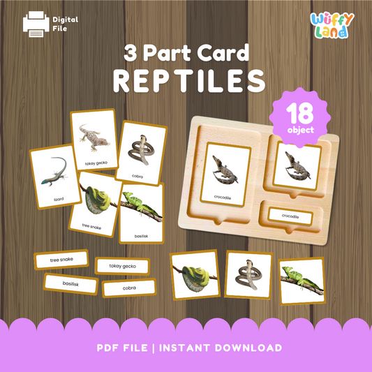 3 Part Cards Reptiles Montessori Printable - Animal Identification & Vocabulary Activity