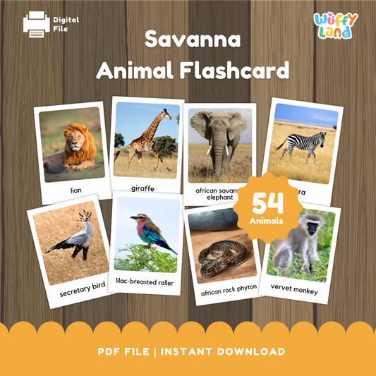 Kartu Flash Habitat Hewan Savana – 54 Hewan dengan Foto Asli