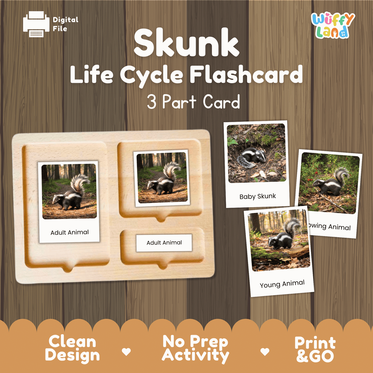 Skunk Life Cycle Montessori 3-Part Cards - Science Zoology Mammal Flashcards