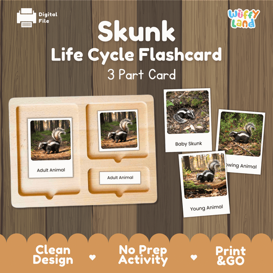 Skunk Life Cycle Montessori 3-Part Cards - Science Zoology Mammal Flashcards