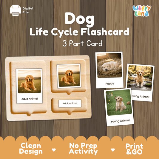 Dog Life Cycle Montessori 3-Part Cards - Science Zoology Mammal Flashcards