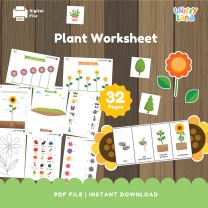 Plant Learning Worksheets for Kids - Printable Education Activities