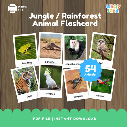 Kartu Flash Hewan Hutan - 54 Kartu Bahan Montessori yang Dapat Dicetak dengan Gambar Asli