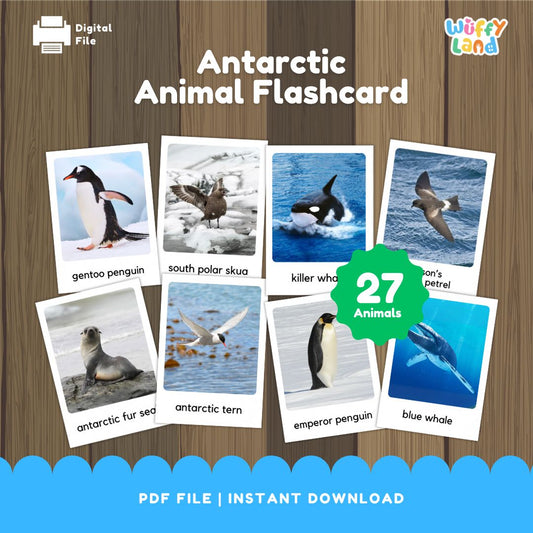 Kartu Flash Montessori Hewan Antartika dengan Gambar Asli
