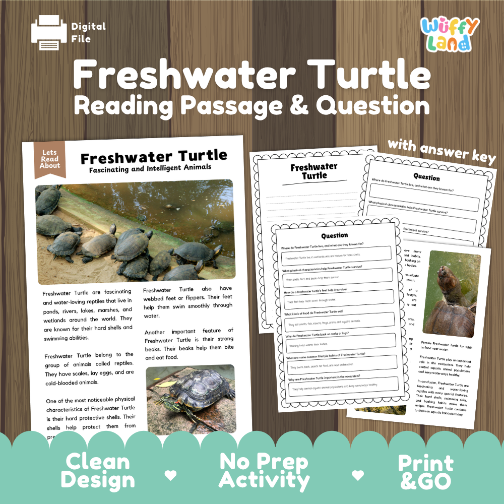 Freshwater Turtle Reading Passage and Questions Worksheets with Answer Key