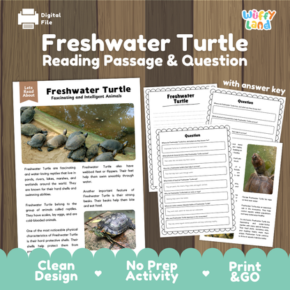 Freshwater Turtle Reading Passage and Questions Worksheets with Answer Key