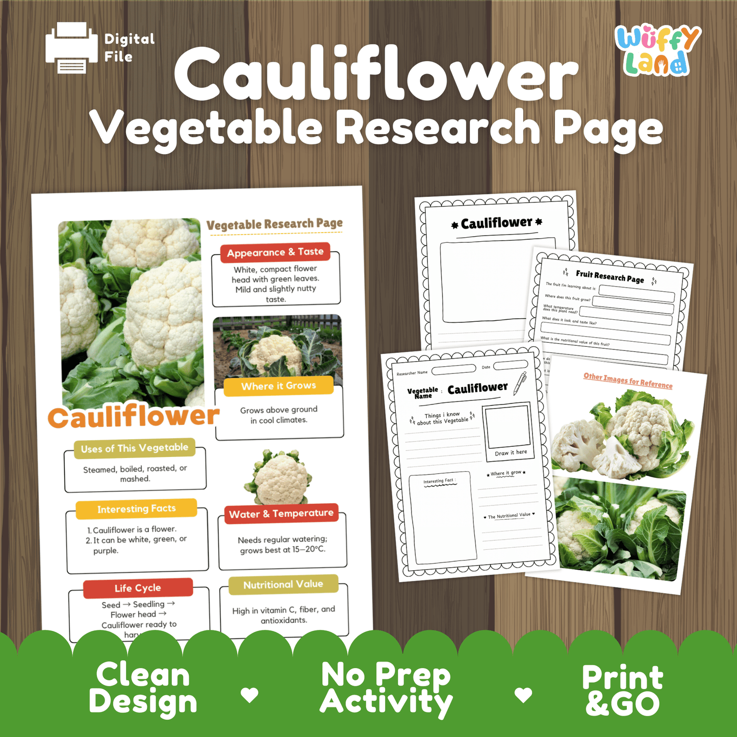 Cauliflower Research Project | Vegetable Science Activity | Plant Study | Food