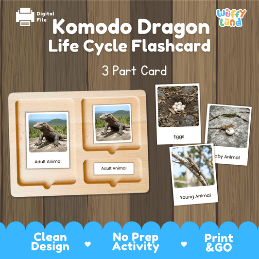 Komodo Dragon Life Cycle Montessori 3-Part Cards - Science Zoology Reptile