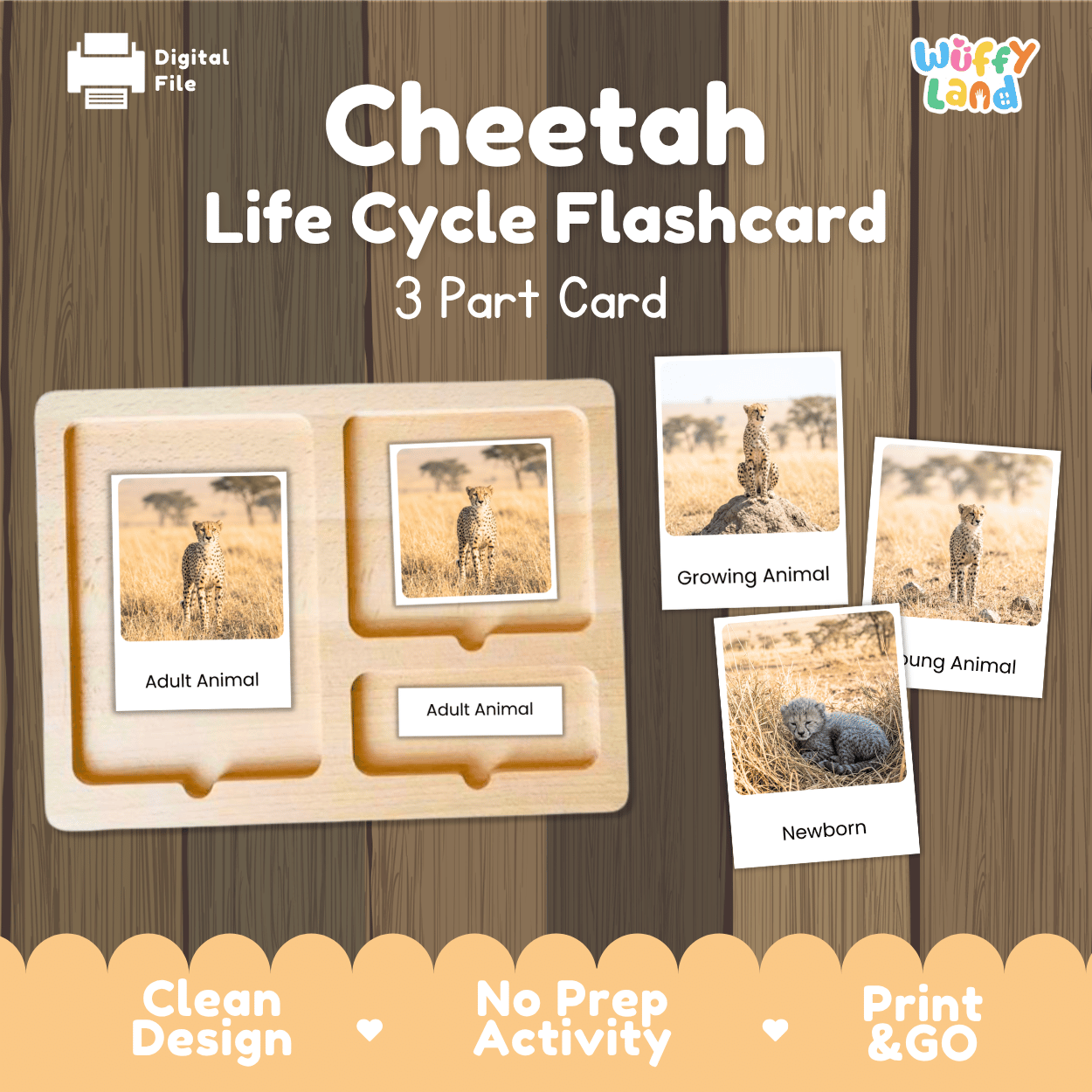 Cheetah Life Cycle Flashcards | Montessori 3 Part Cards Mammal Activity