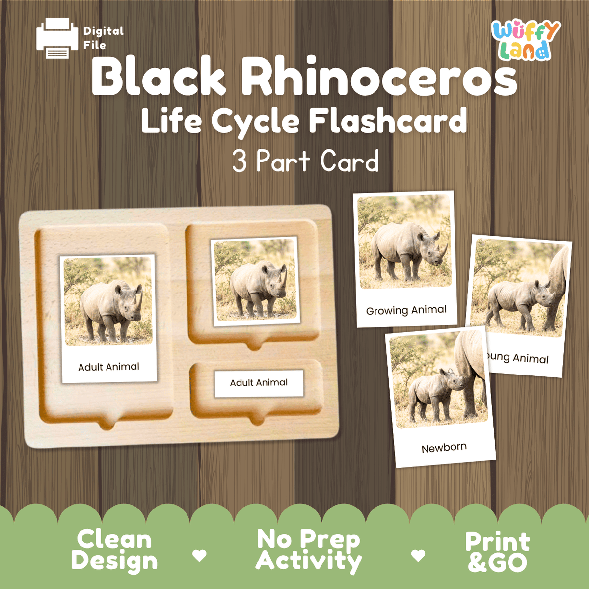 Black Rhinoceros Life Cycle Flashcards | Montessori 3 Part Cards Mammal Activity