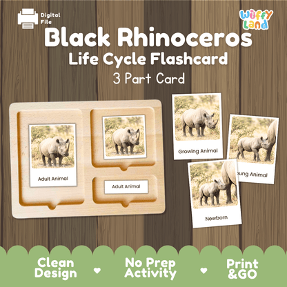 Black Rhinoceros Life Cycle Flashcards | Montessori 3 Part Cards Mammal Activity