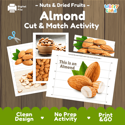 Almond Cut and Match Activity Worksheets | Nuts and Dried Fruits Puzzle Printables