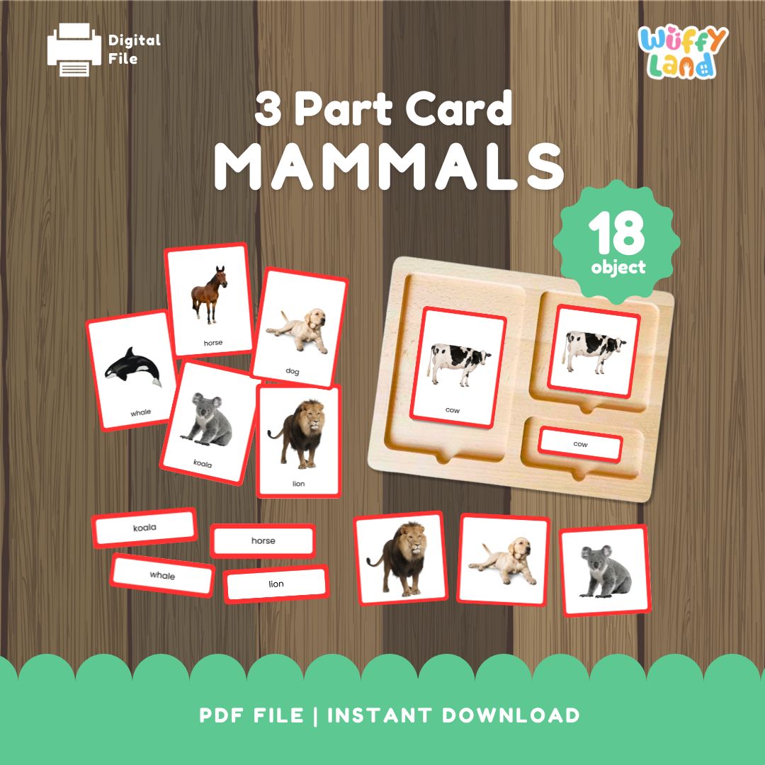 Jenis-jenis Mamalia MONTESSORI 3 bagian kartu GAMBAR NYATA 