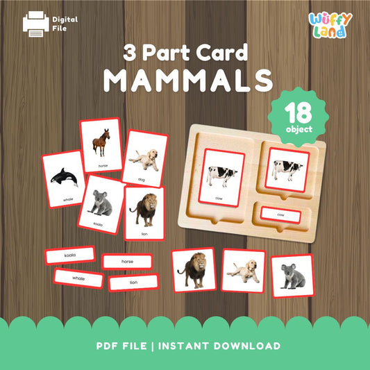 Jenis-jenis Mamalia MONTESSORI 3 bagian kartu GAMBAR NYATA 