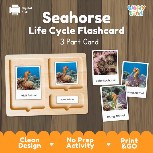 Seahorse Life Cycle Montessori 3-Part Cards - Science Zoology Marine Flashcards