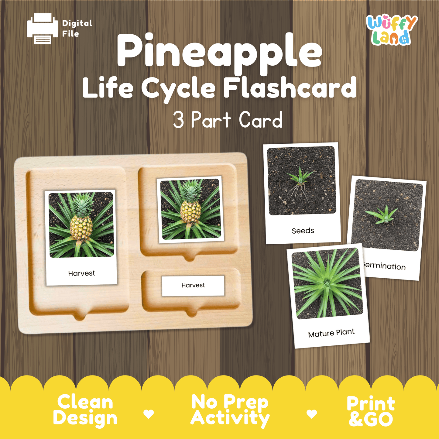 Pineapple Life Cycle Montessori 3-Part Cards - Science Botany Flashcards