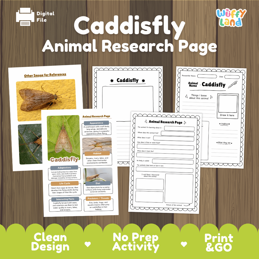 CaddisFly Animal Research Page and Worksheets