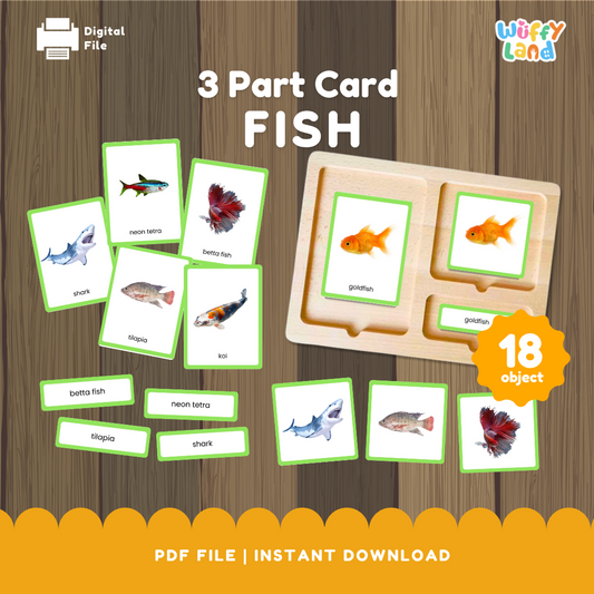 Montessori 3 Part Cards FISH Zoology Series Real Image