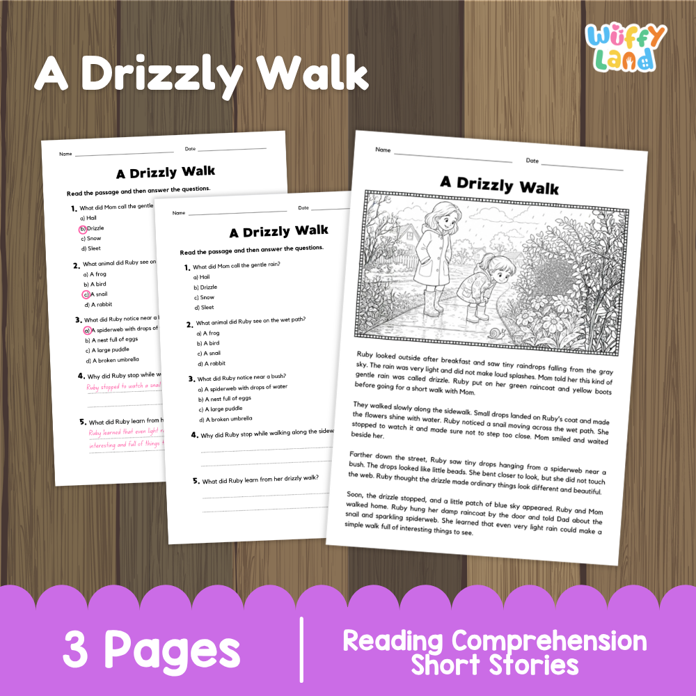 A Drizzly Walk Reading Comprehension Passage and Questions Worksheets