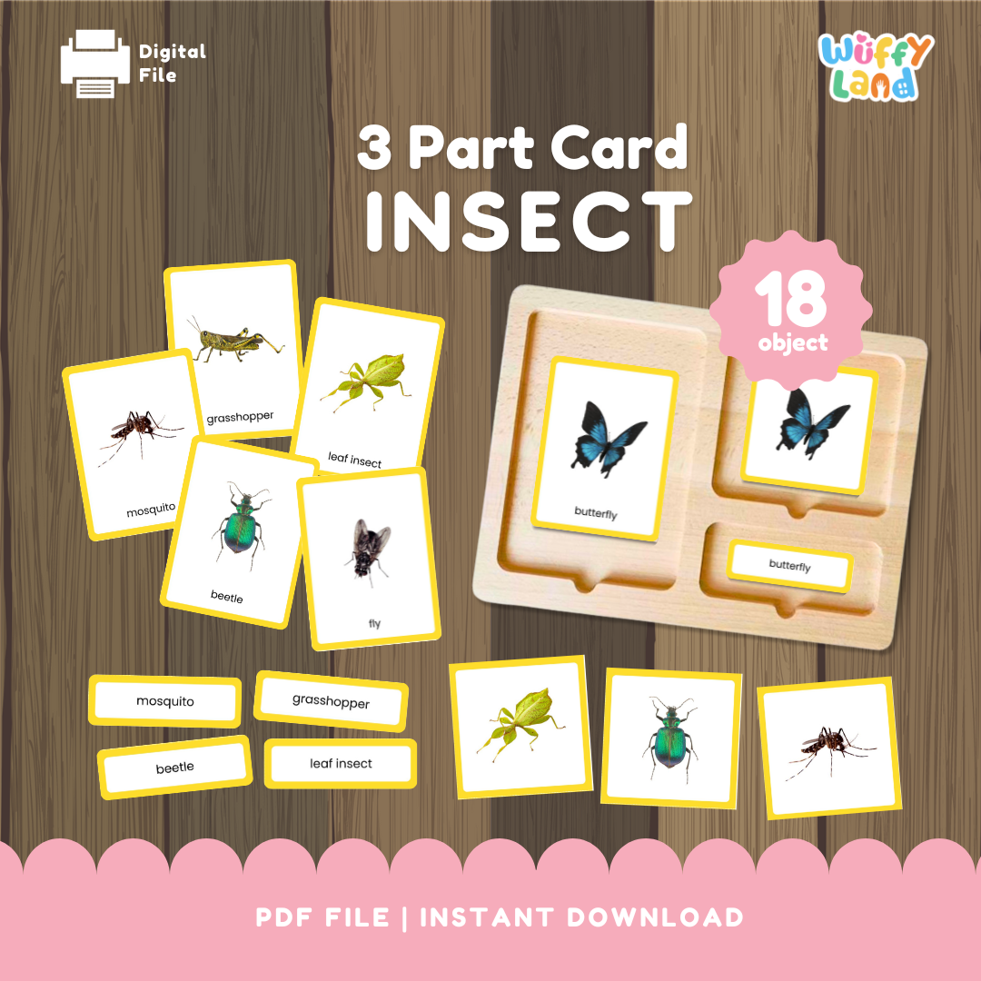 Kartu 3 Bagian Serangga Montessori yang Dapat Dicetak – 18 Kartu Tata Nama Serangga untuk Pusat Sains &amp; Studi Alam