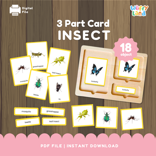 3 Part Cards Insects Montessori Printable – 18 Insect Nomenclature Cards for Science Centers & Nature Study