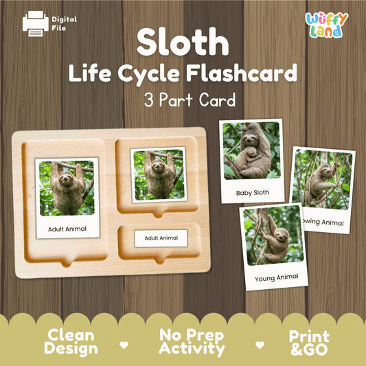 Sloth Life Cycle Montessori 3-Part Cards - Science Zoology Mammal Flashcards