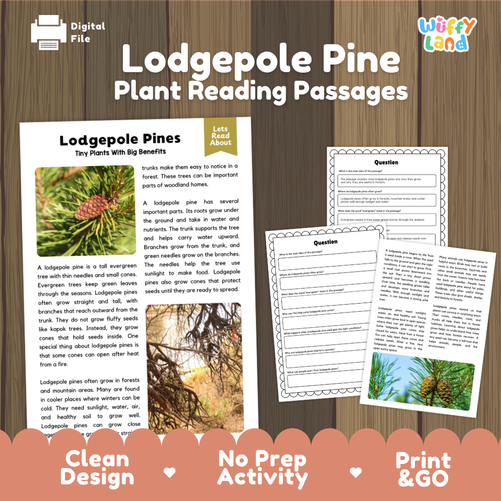 Lodgepole Pine Plant Reading Passages Worksheets and Comprehension Activity