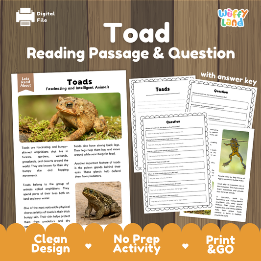Toad Reading Passage and Comprehension Questions Worksheets with Answer Key