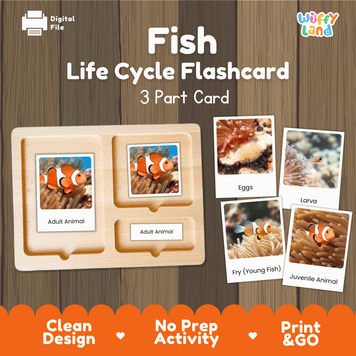 Fish Life Cycle Montessori 3-Part Cards - Science Zoology Marine Flashcards