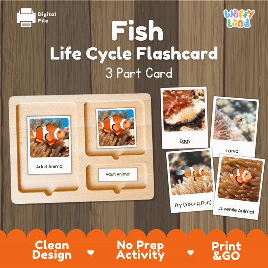 Fish Life Cycle Montessori 3-Part Cards - Science Zoology Marine Flashcards