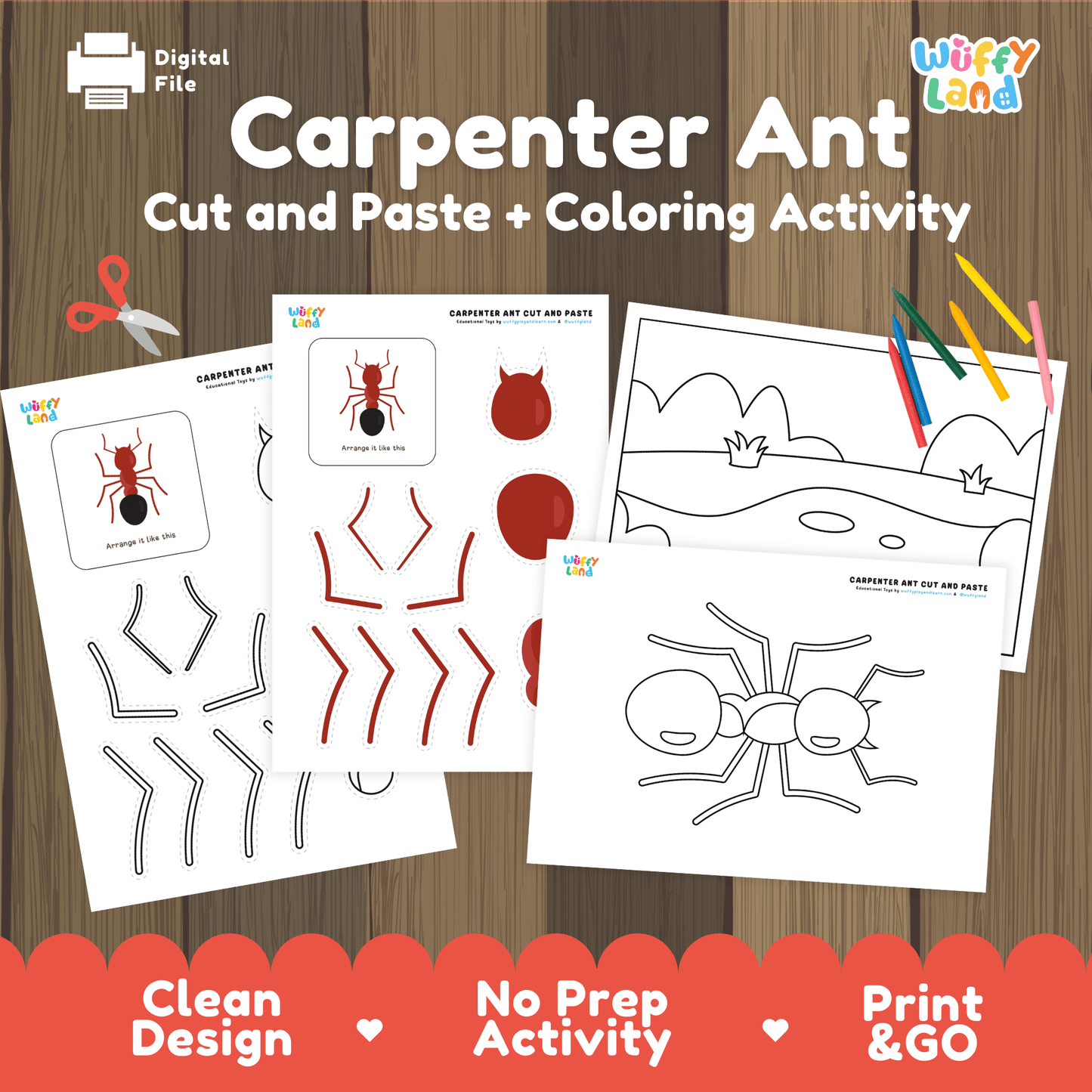 Carpenter Ant Cut and Paste Craft | Ant Coloring Page & Insect Activity