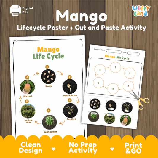 Mango Lifecycle Poster and Cut and Paste Activity Worksheets | Plant Science Printables