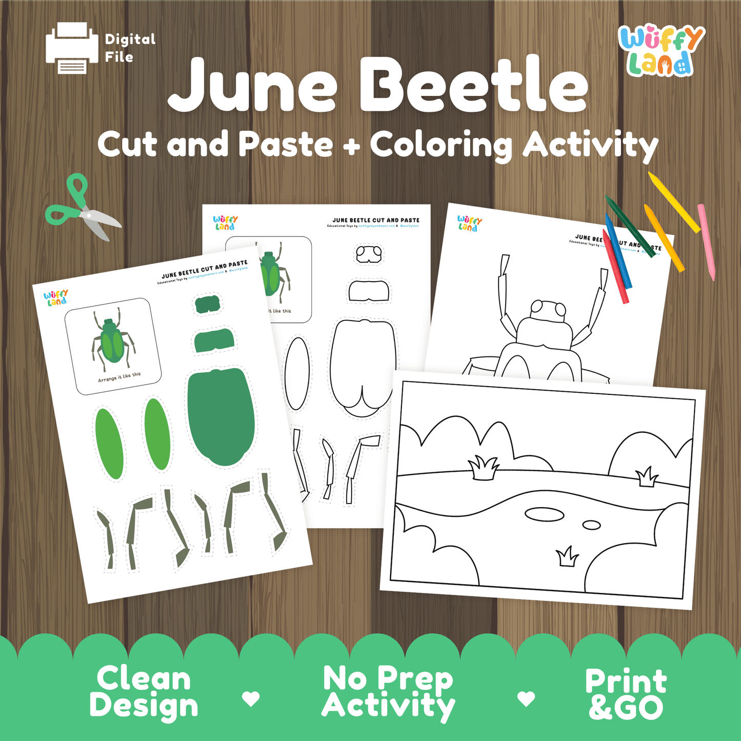 June Beetle Cut and Paste Craft | Beetle Coloring Page & Insect Activity