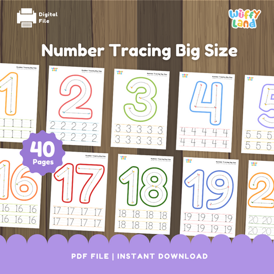 Number Tracing Big Size