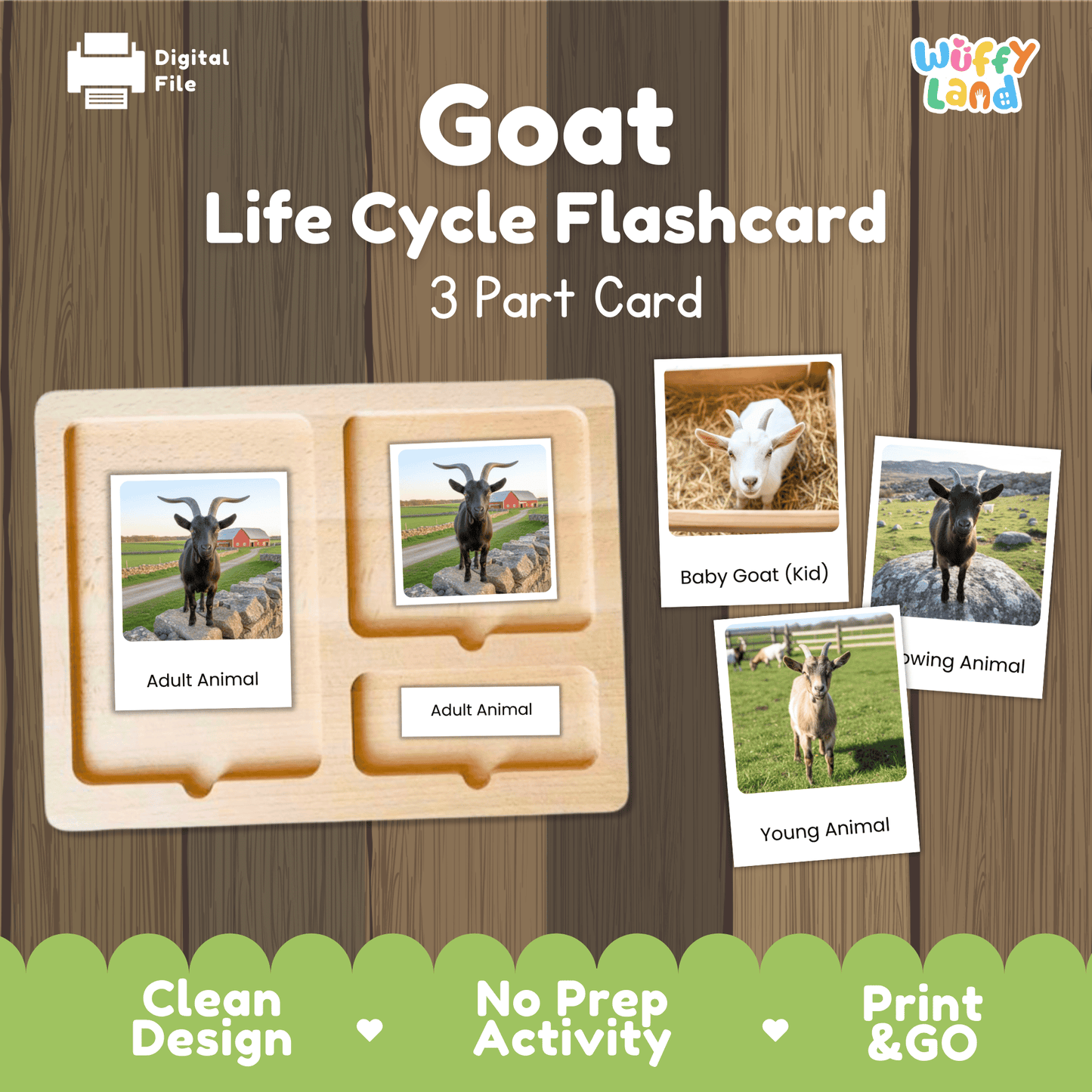Goat Life Cycle Montessori 3-Part Cards - Science Zoology Flashcard