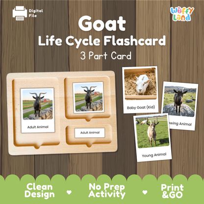 Goat Life Cycle Montessori 3-Part Cards - Science Zoology Flashcard