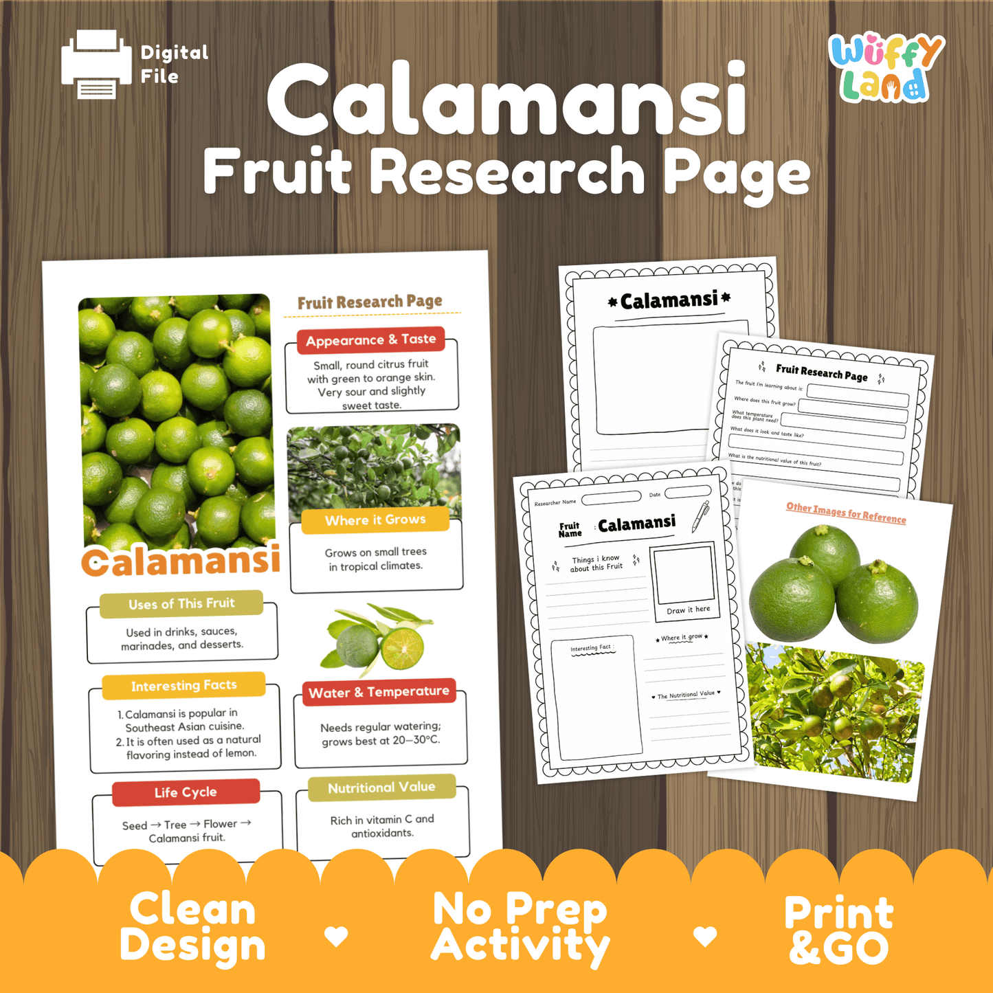 Calamansi Science Activity | Fruit Research Project | Citrus Nature Study Print