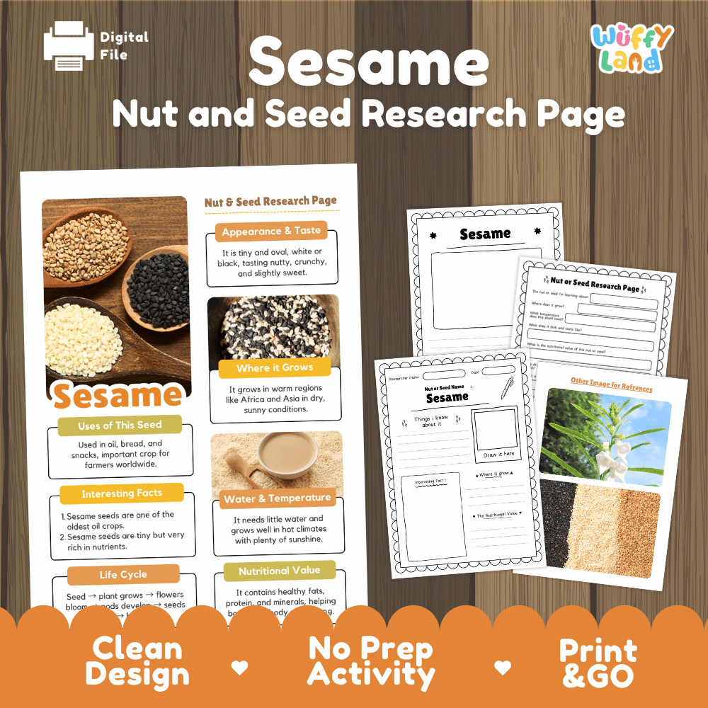 Sesame Nut and Seed Research Page Worksheets and Fact Sheet