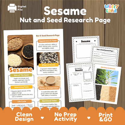 Sesame Nut and Seed Research Page Worksheets and Fact Sheet