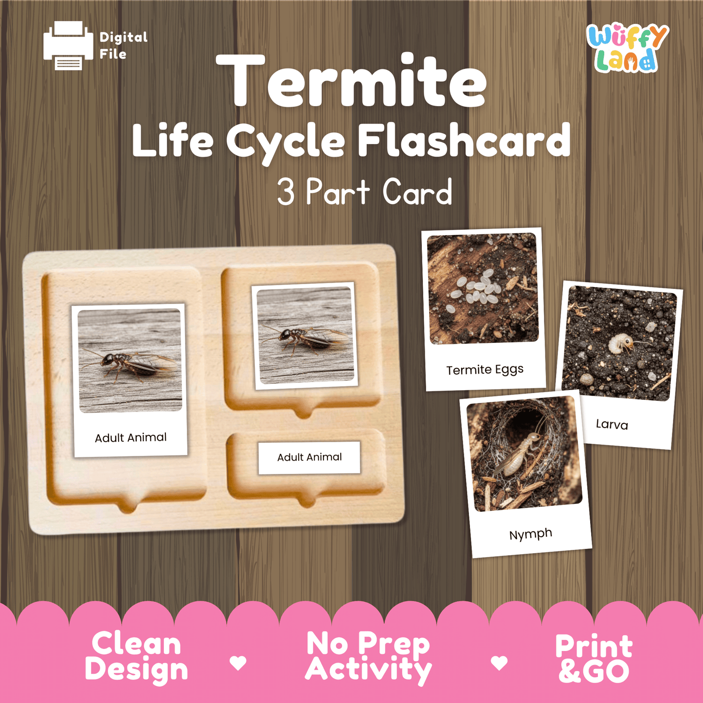 Termite Life Cycle Montessori 3-Part Cards - Science Zoology Insect Flashcards