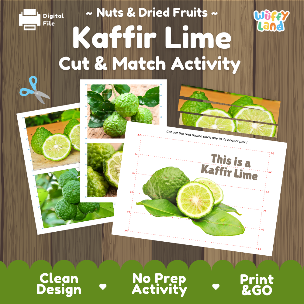 Kaffir Lime Cut and Match Activity Printable Set