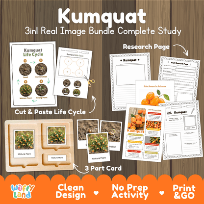 Kumquat Life Cycle 3-in-1 Real Image Bundle Complete Study: Cut & Paste Worksheet, Montessori 3-Part Cards & Research Pages