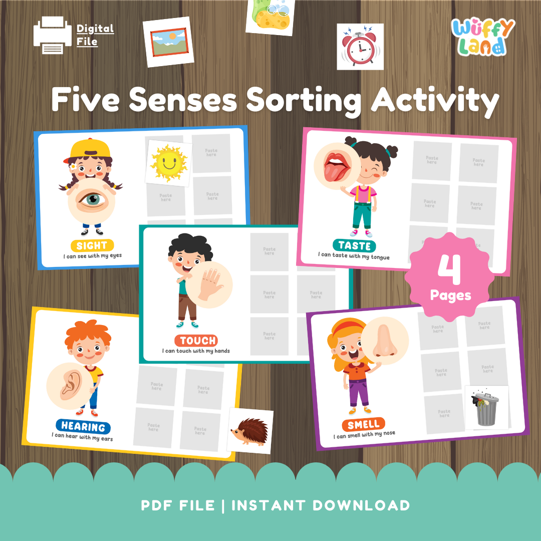 Five Senses Sorting Activity