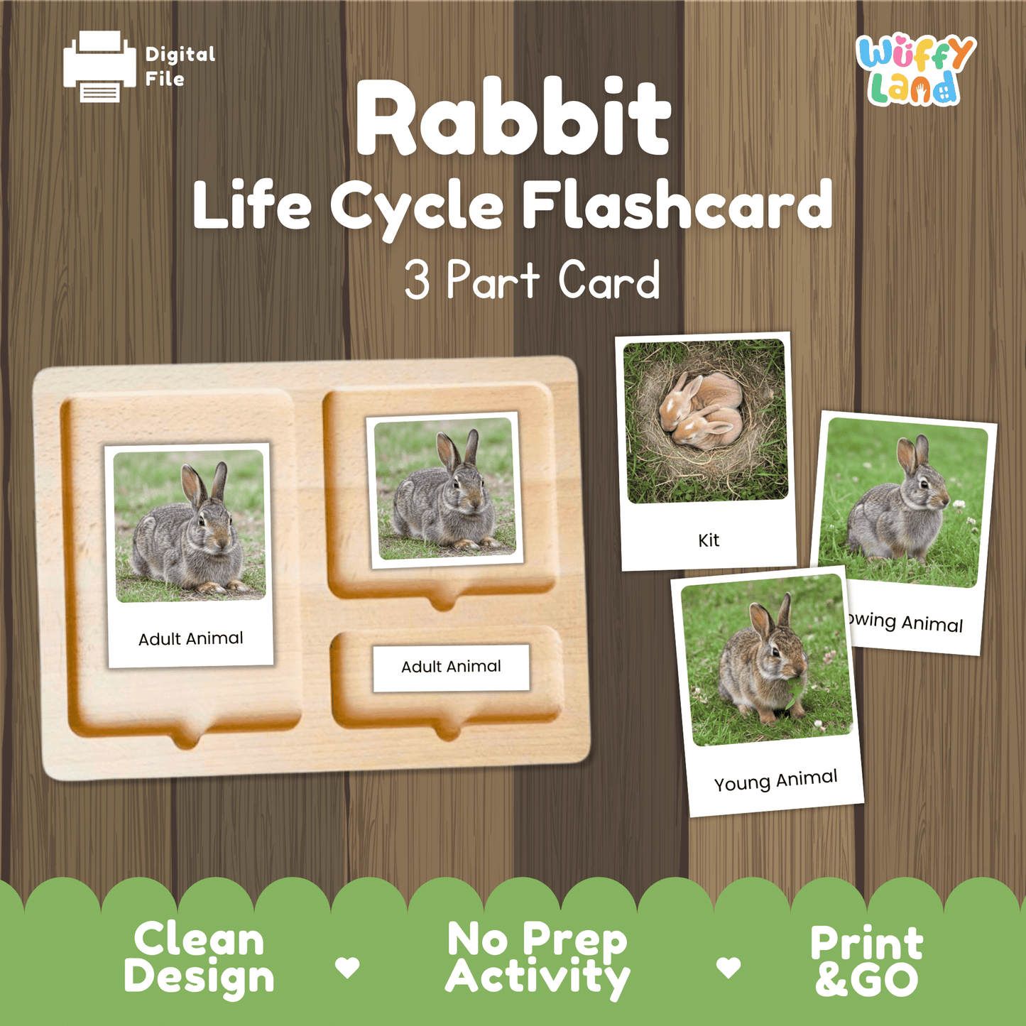 Rabbit Life Cycle Montessori 3-Part Cards - Science Zoology Flashcard
