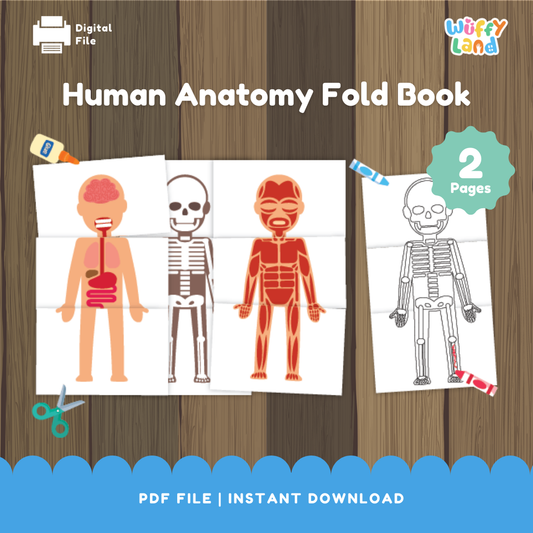 Human Anatomy Foldable Book - Printable Body System Cut & Paste Activity - Science for Kids