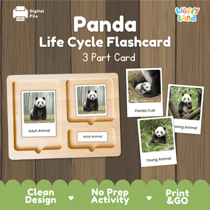 Panda Life Cycle Montessori 3-Part Cards - Science Zoology Mammal Flashcards