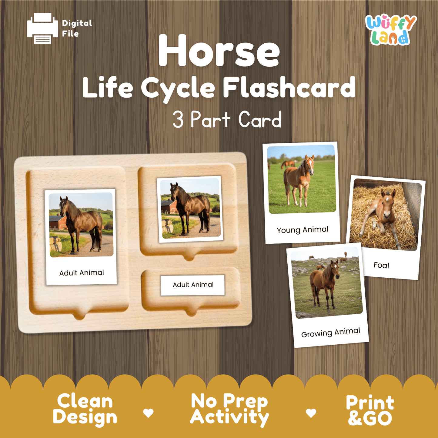 Horse Life Cycle Montessori 3-Part Cards - Science Zoology Flashcard